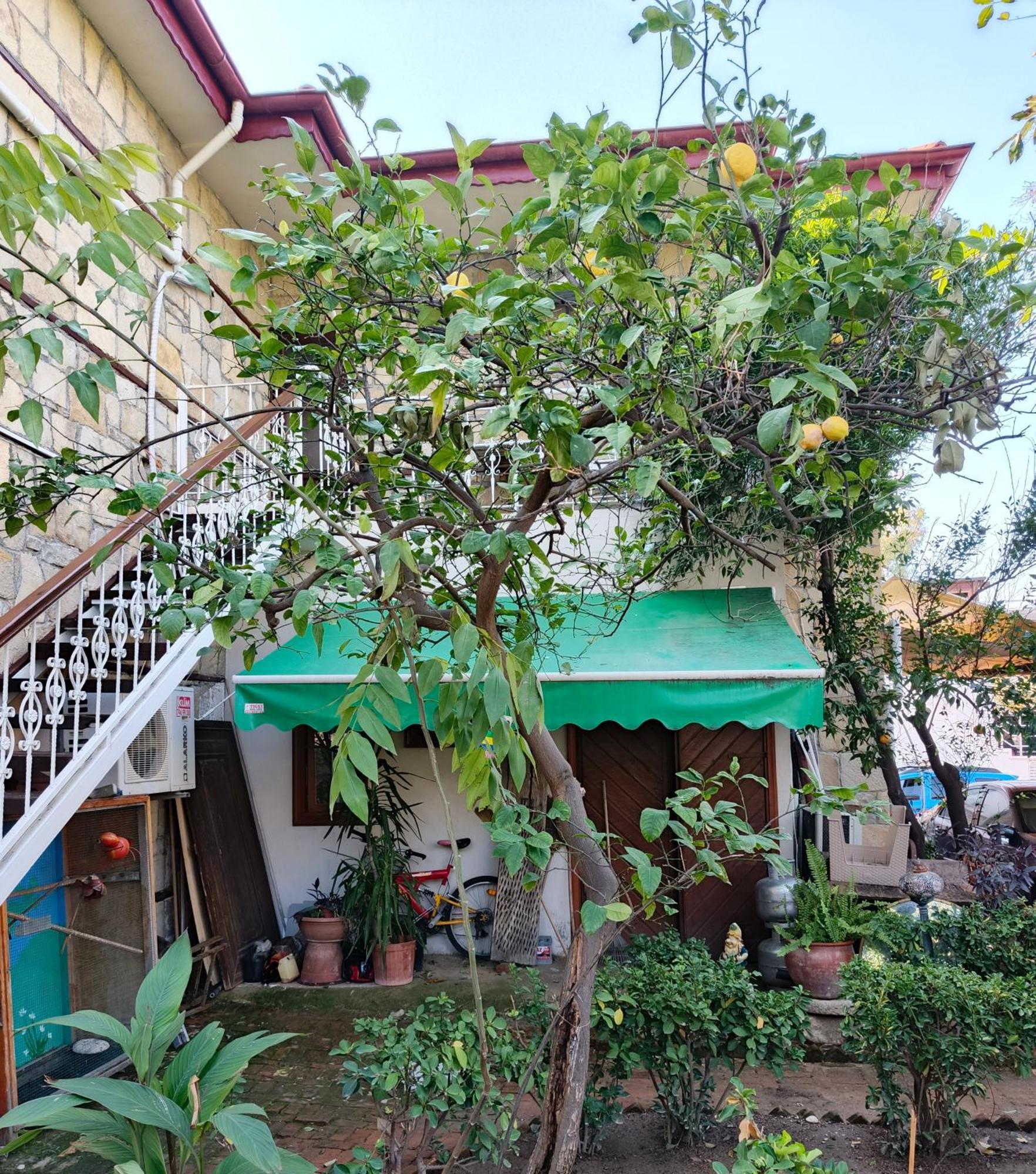 Beach House Apartment Side Luaran gambar